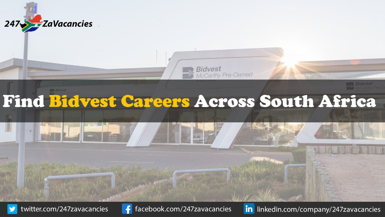 Bidvest Careers